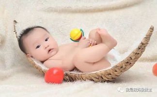 脑力开发必学 1 21个月宝宝精细动作能力训练全记录