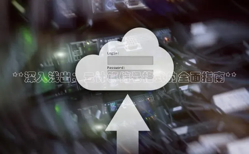 杏鑫平台线路测速百度信誉**深入浅出：云计算信号格式的全面指南**