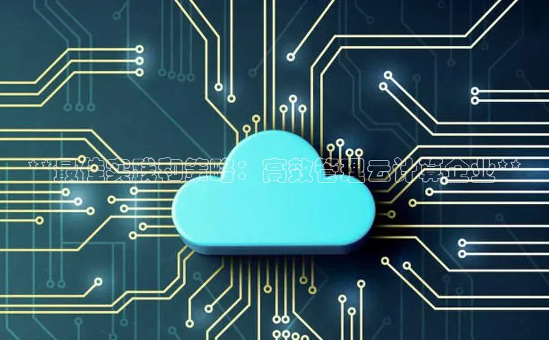 杏鑫登录测速百度社团赞助平台**最佳实践和策略：高效管理云计算企业**