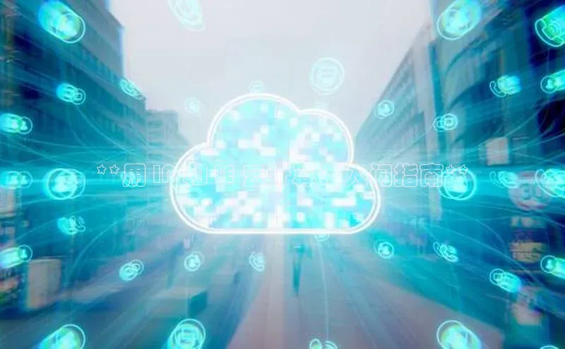 杏鑫平台注册入口慧博云通**用 IP 和 IE 云计算：入门指南**