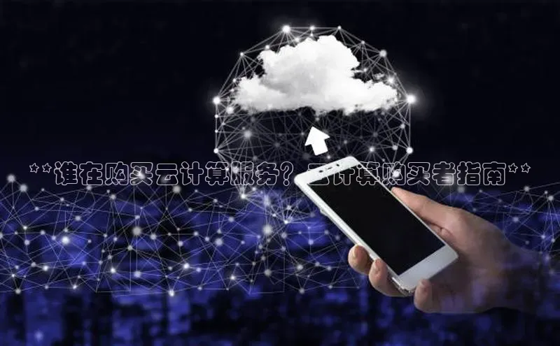 杏鑫注册开户百度众测**谁在购买云计算服务？云计算购买者指南**