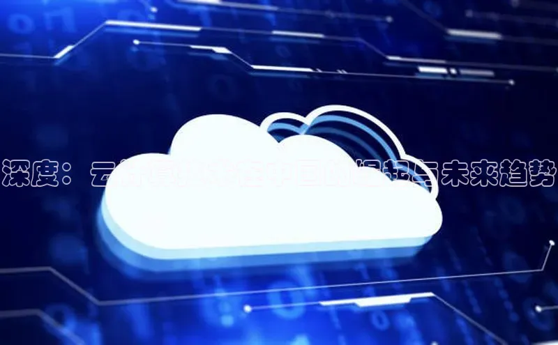 杏鑫是正规彩票平台吗百度翻译深度：云计算技术在中国的崛起与未来趋势