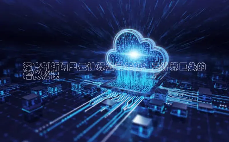 杏鑫平台开户猫眼深度剖析阿里云计算公司年报：云计算巨头的
增长秘诀