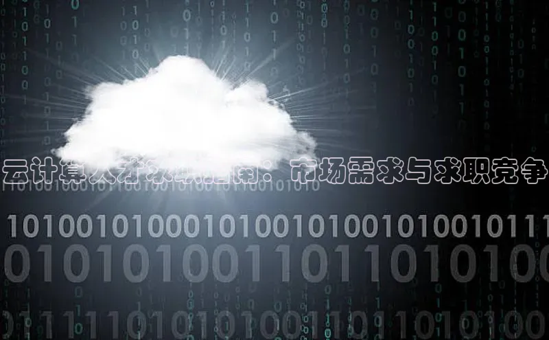 杏鑫注册登录代理挪威主权基金云计算人才求职指南：市场需求与求职竞争