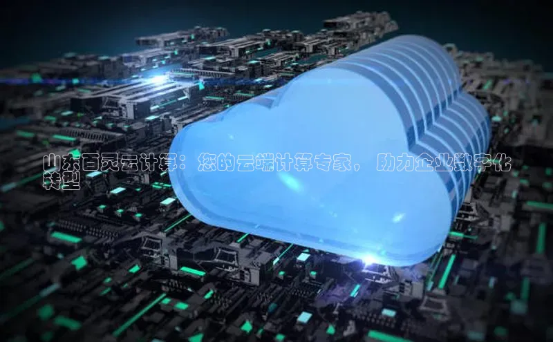 杏鑫注册登录地址文心一言山东百灵云计算：您的云端计算专家， 助力企业数字化
转型