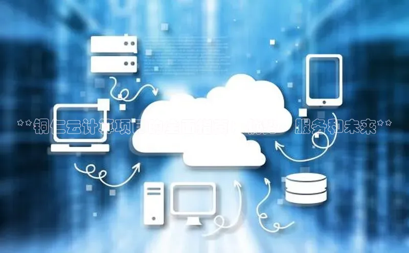 杏鑫平台登录地址网易**铜仁云计算项目的全面指南：优势、服务和未来**