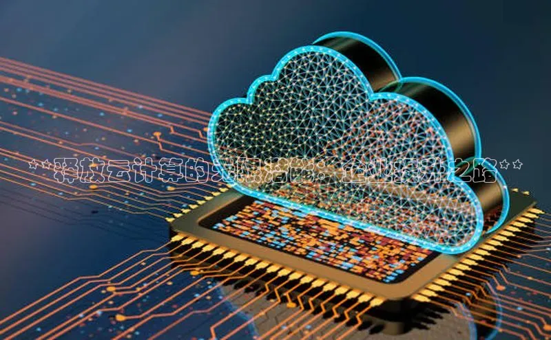 杏鑫是正规彩票平台吗百度翻译**释放云计算的无限潜能：企业提升之路**