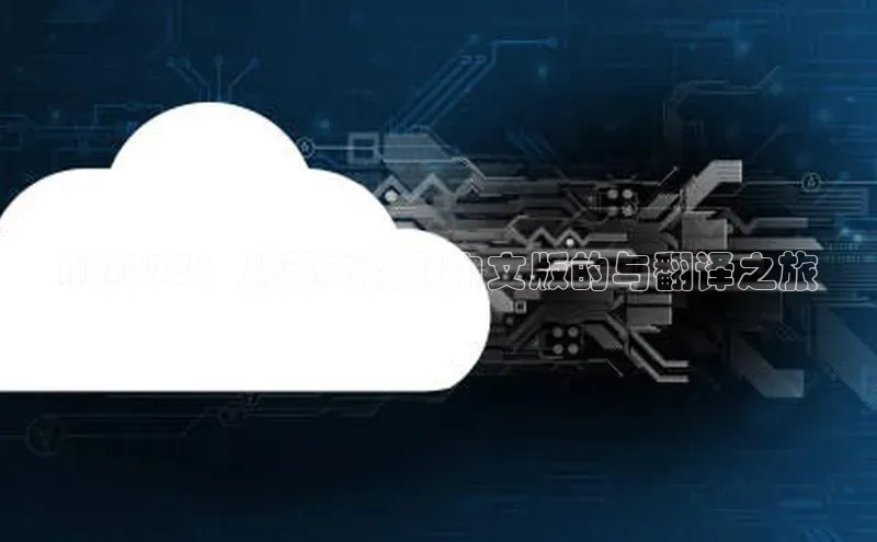 AI2025：从英文版到中文版的与翻译之旅